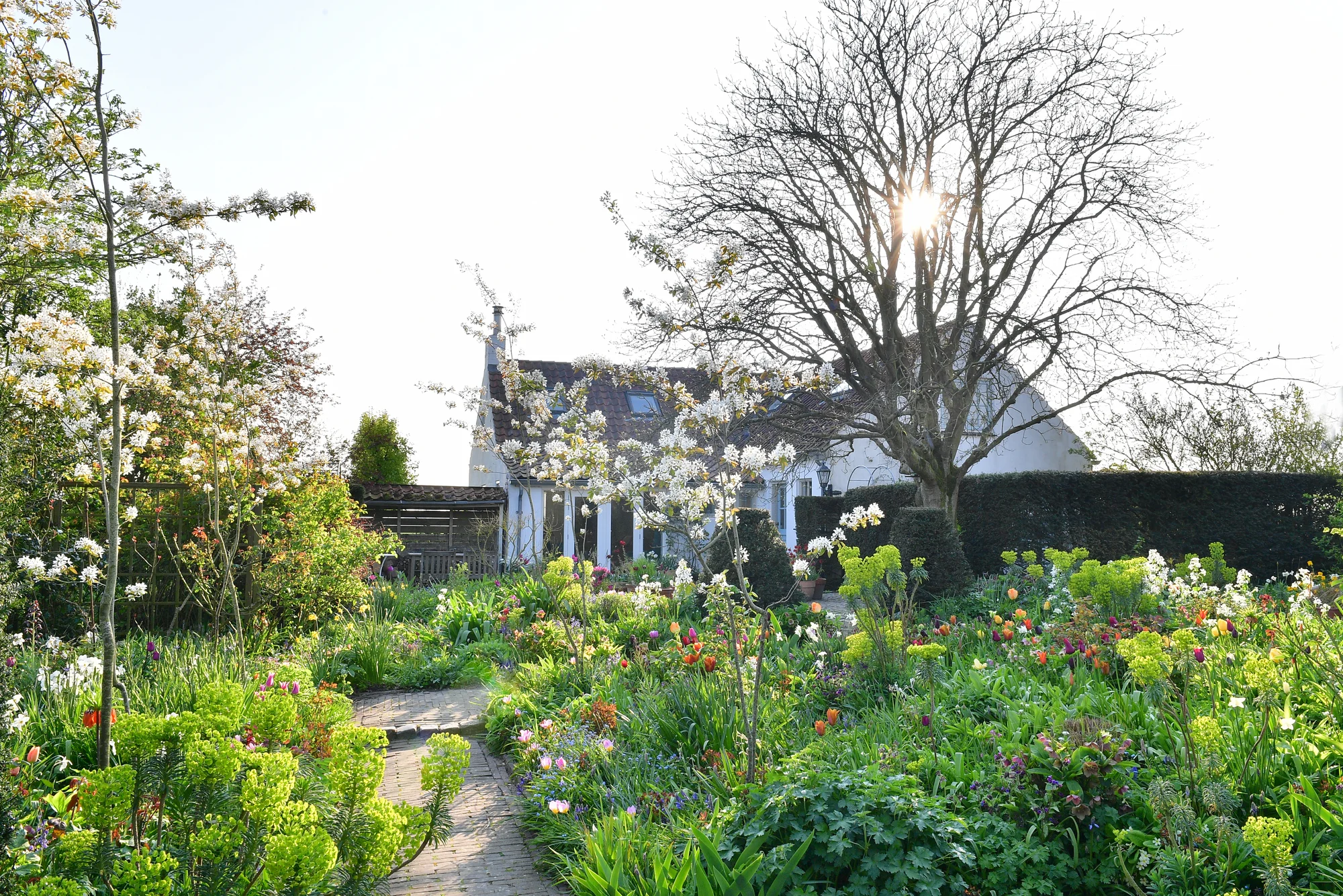 Ecologische Cottagetuin · 2023