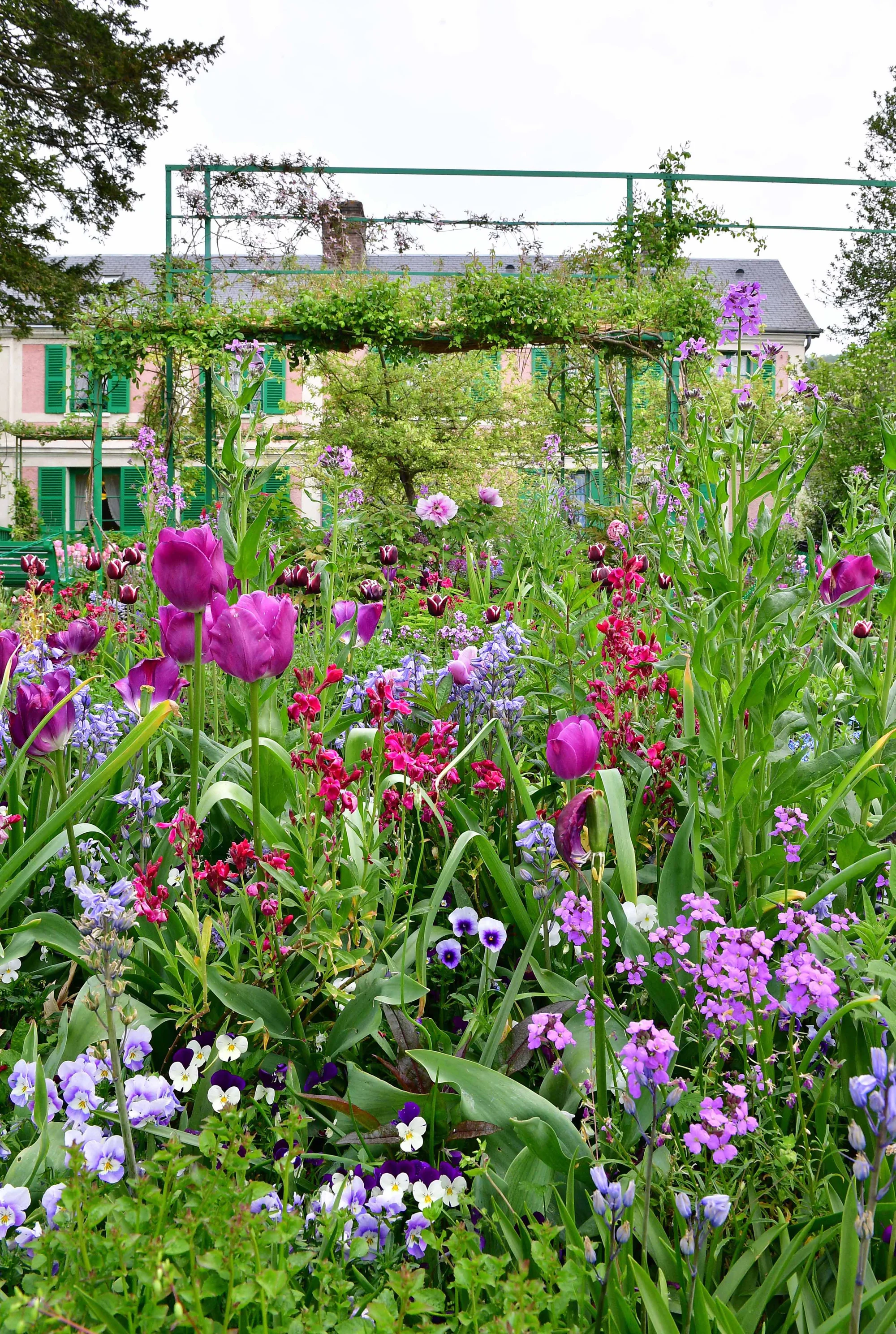 Jardin de Claude Monet · 2023