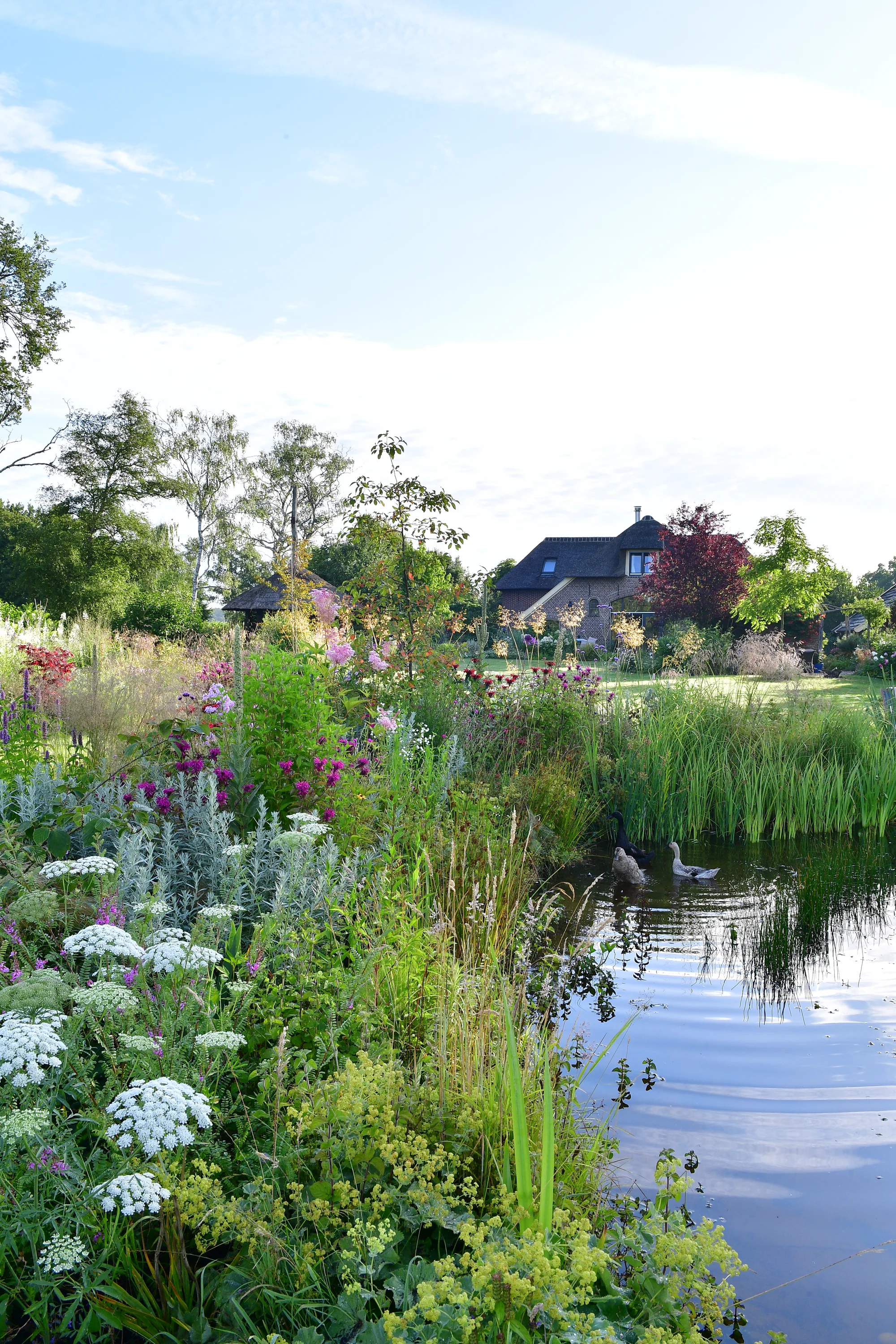 Tuinontwerp Studio Dorth · 2024