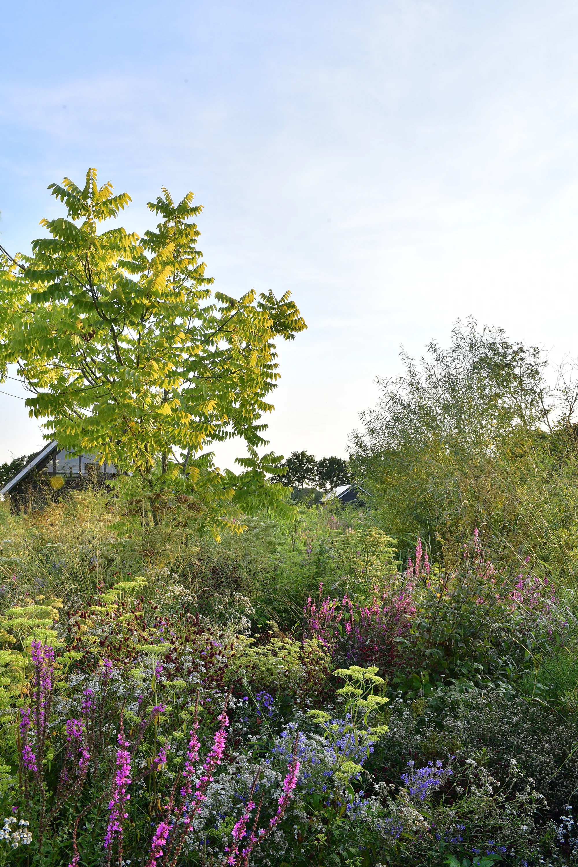 Landschapsarchitect Thijs Dolders · 2026