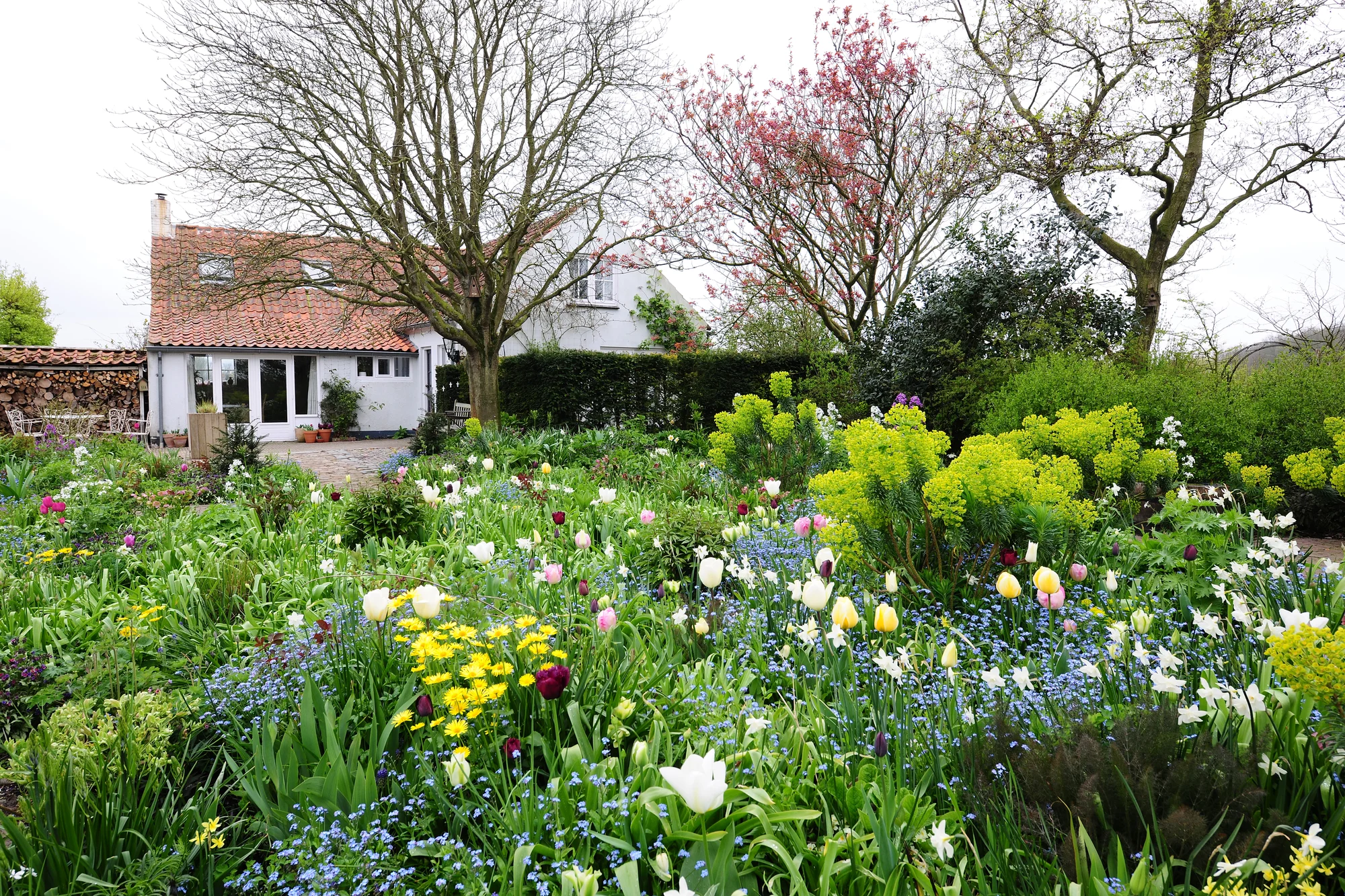 2020 · Ecologische cottagetuin