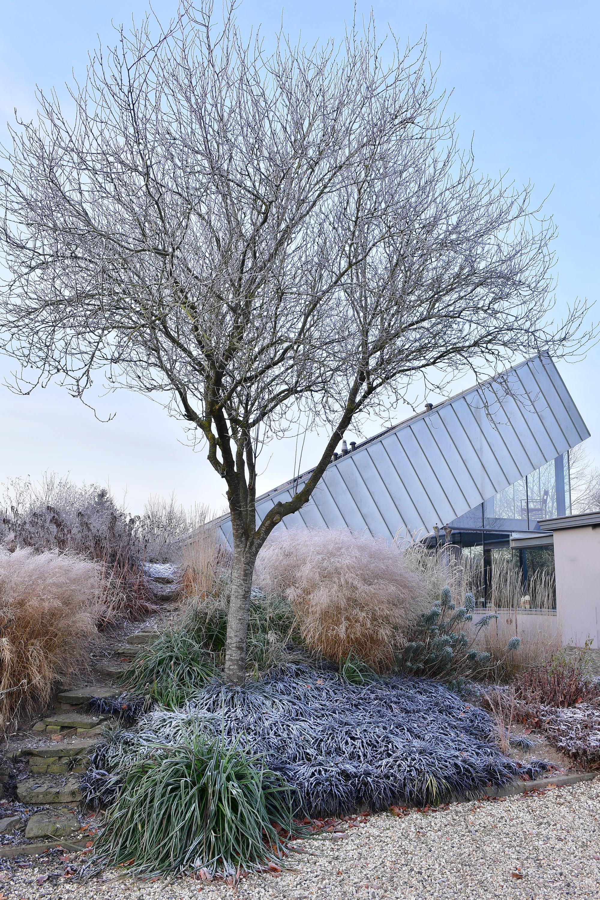 2024 · De Tuin van Fortmond