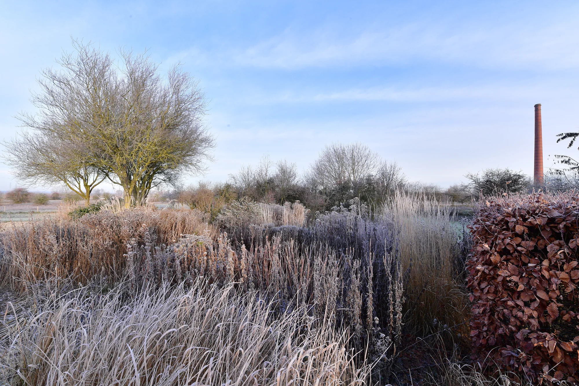 De Tuin van Fortmond · 2023