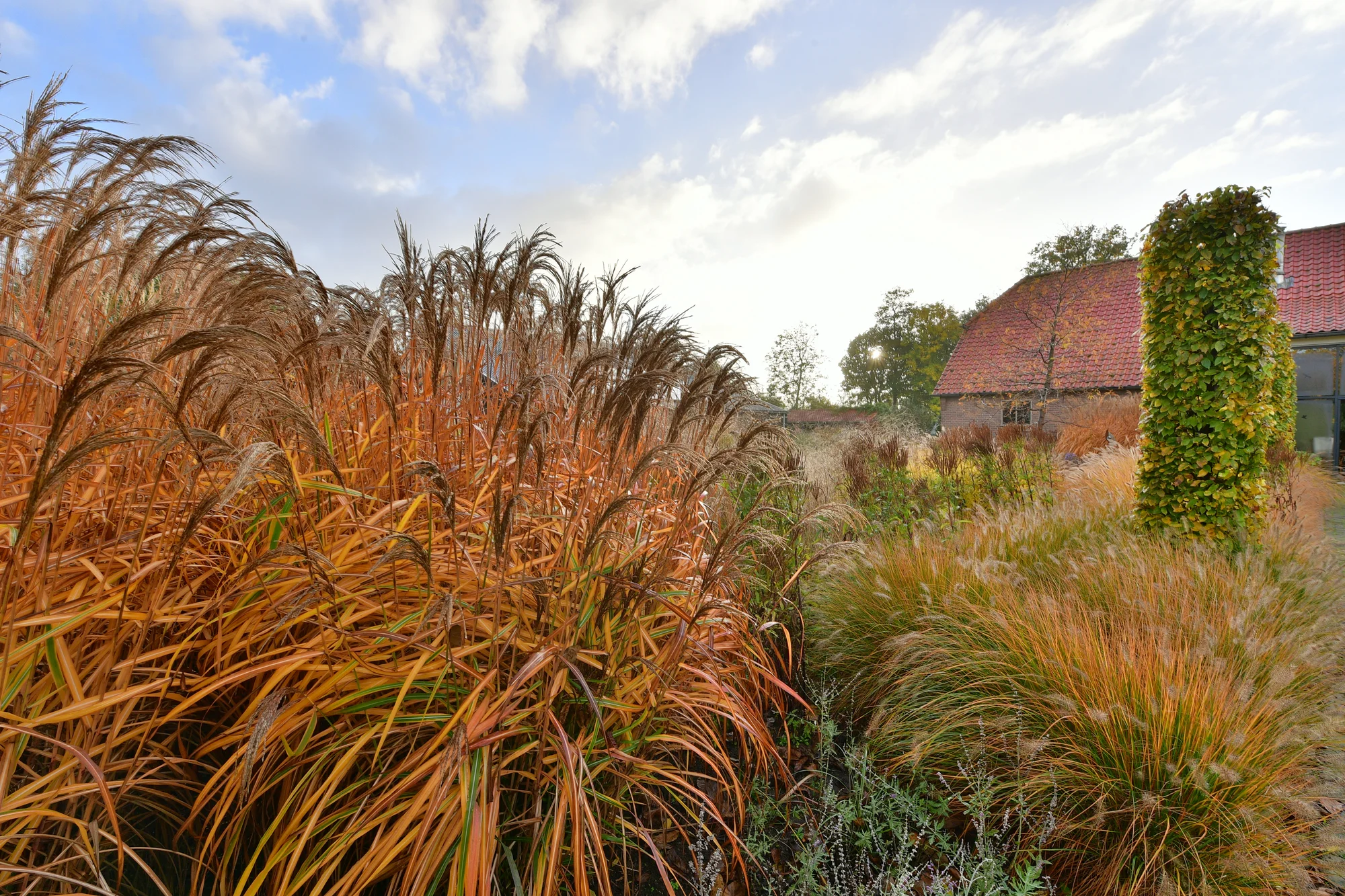 Herfst