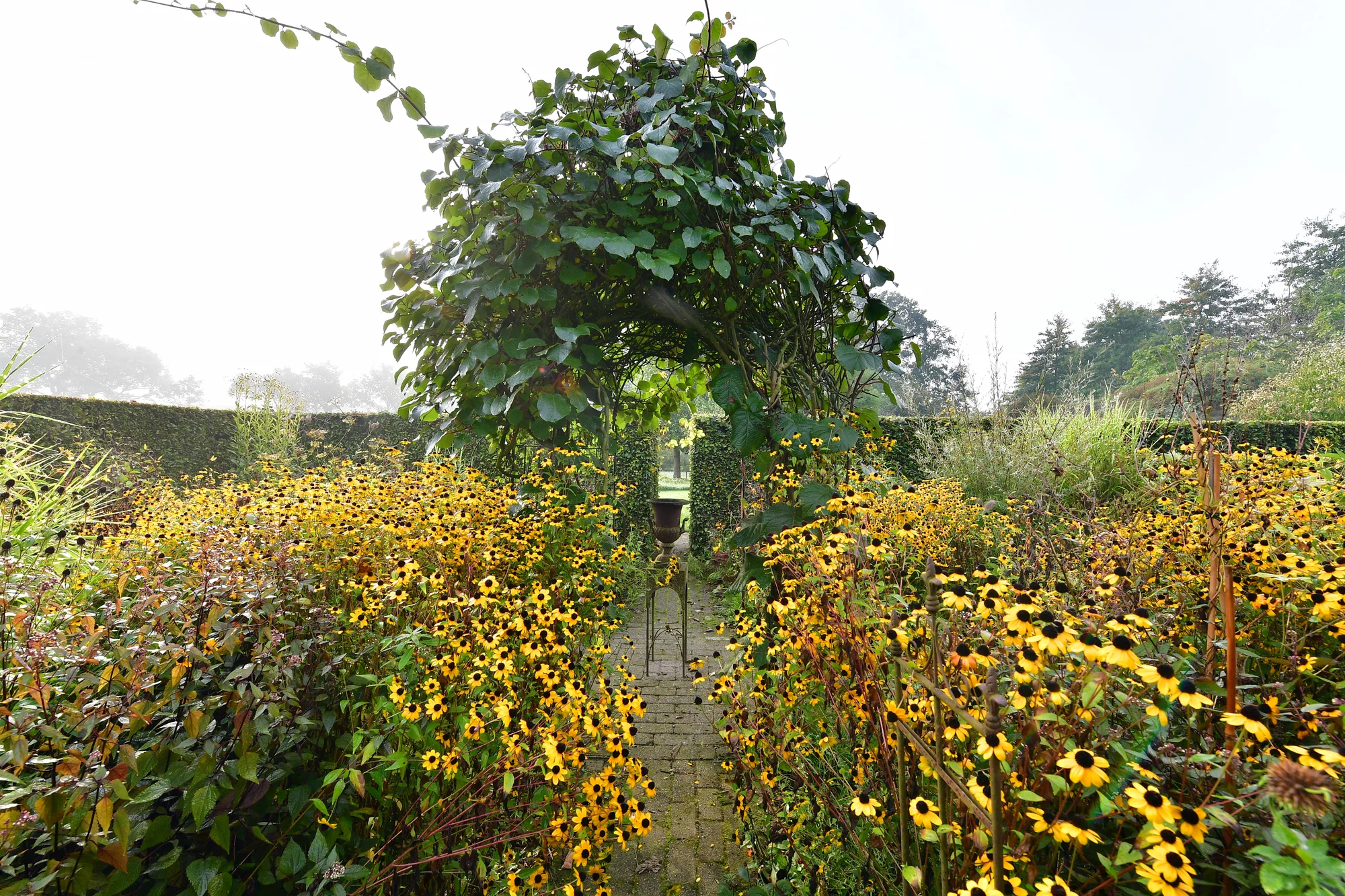 De Beukenhof · 2024