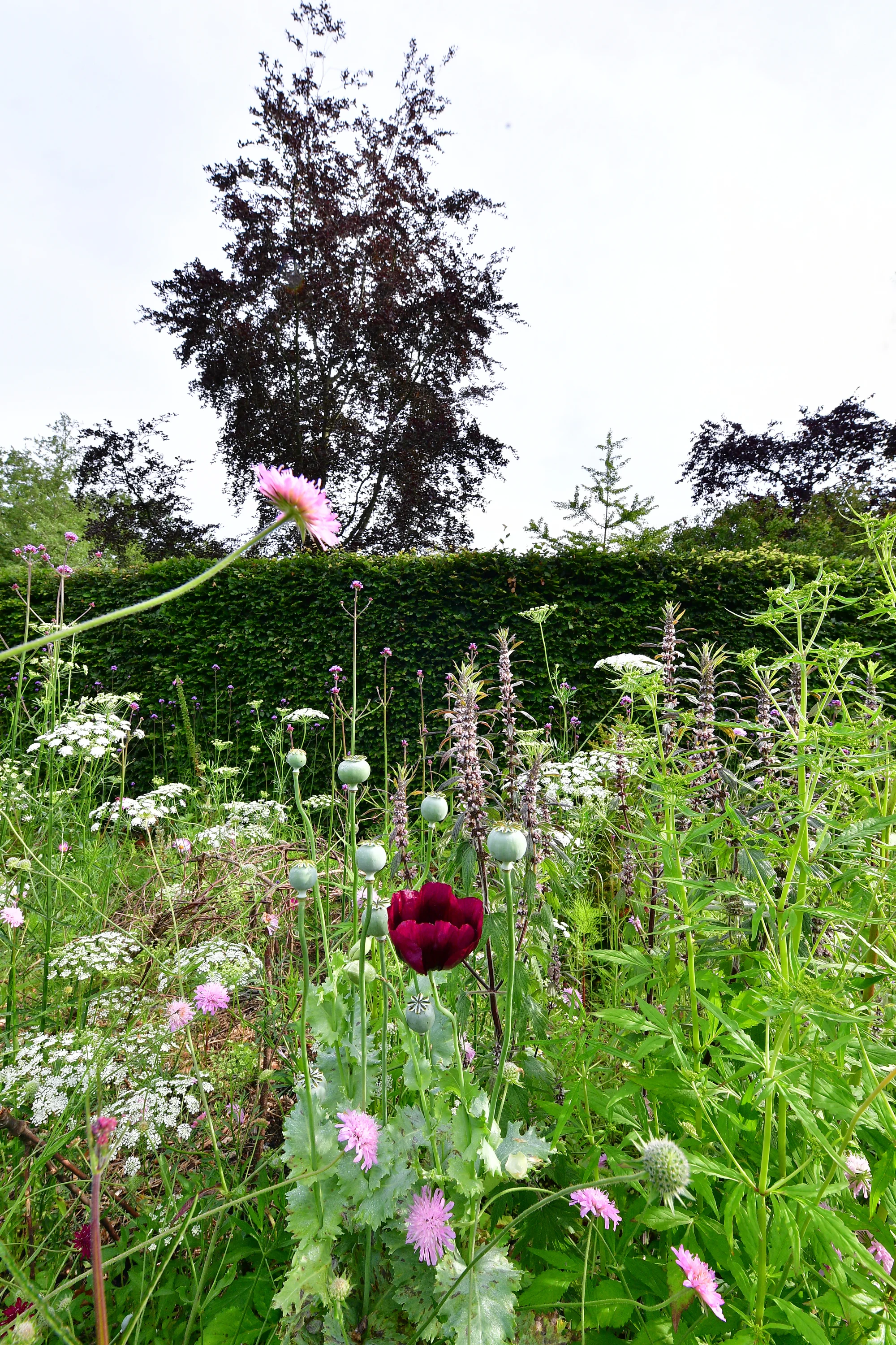 2026 · Tuin aan 't Leusveld