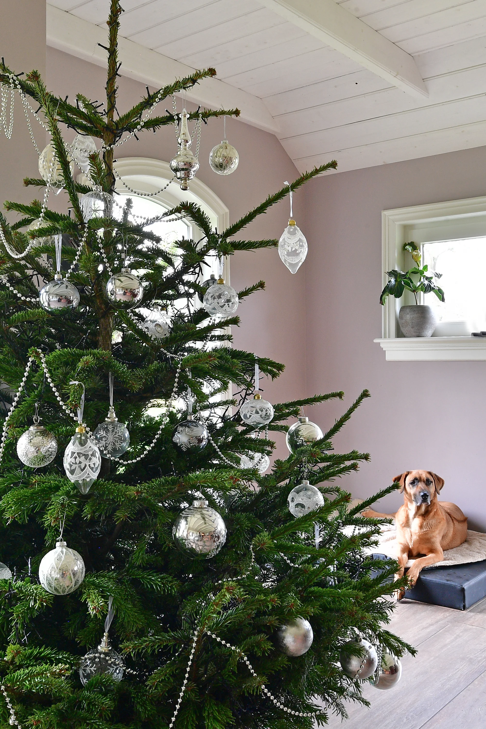 Enschede kerstsfeer · 2024