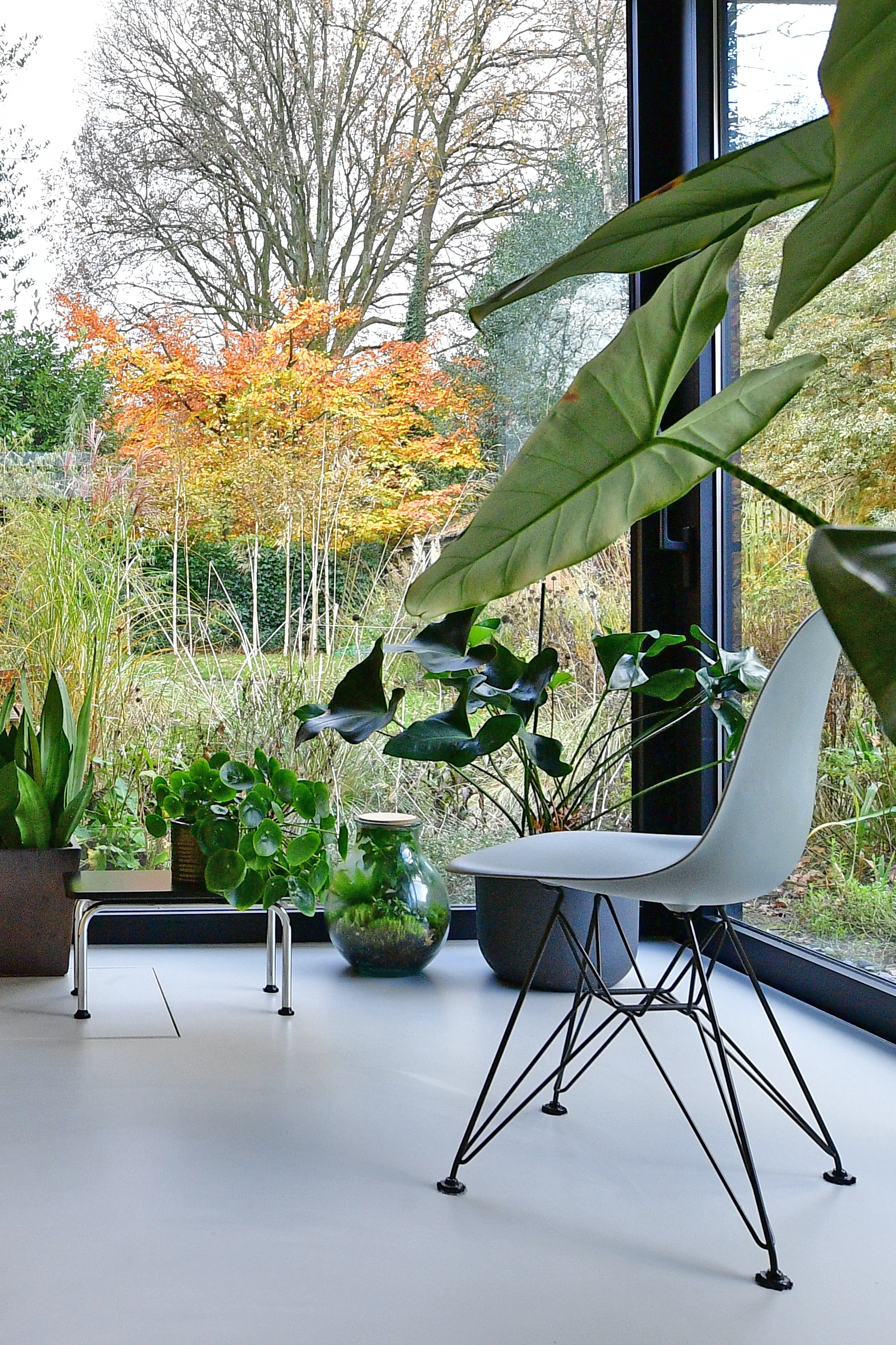 Tuinontwerp Erik Funneman interieur Amersfoort · 2023