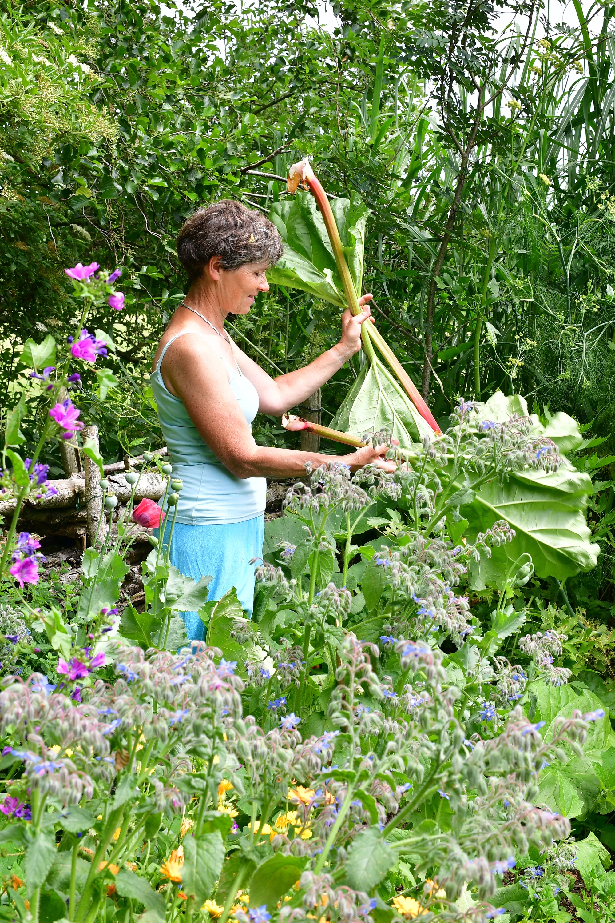 Mooie Moestuin Irmgard · 2023