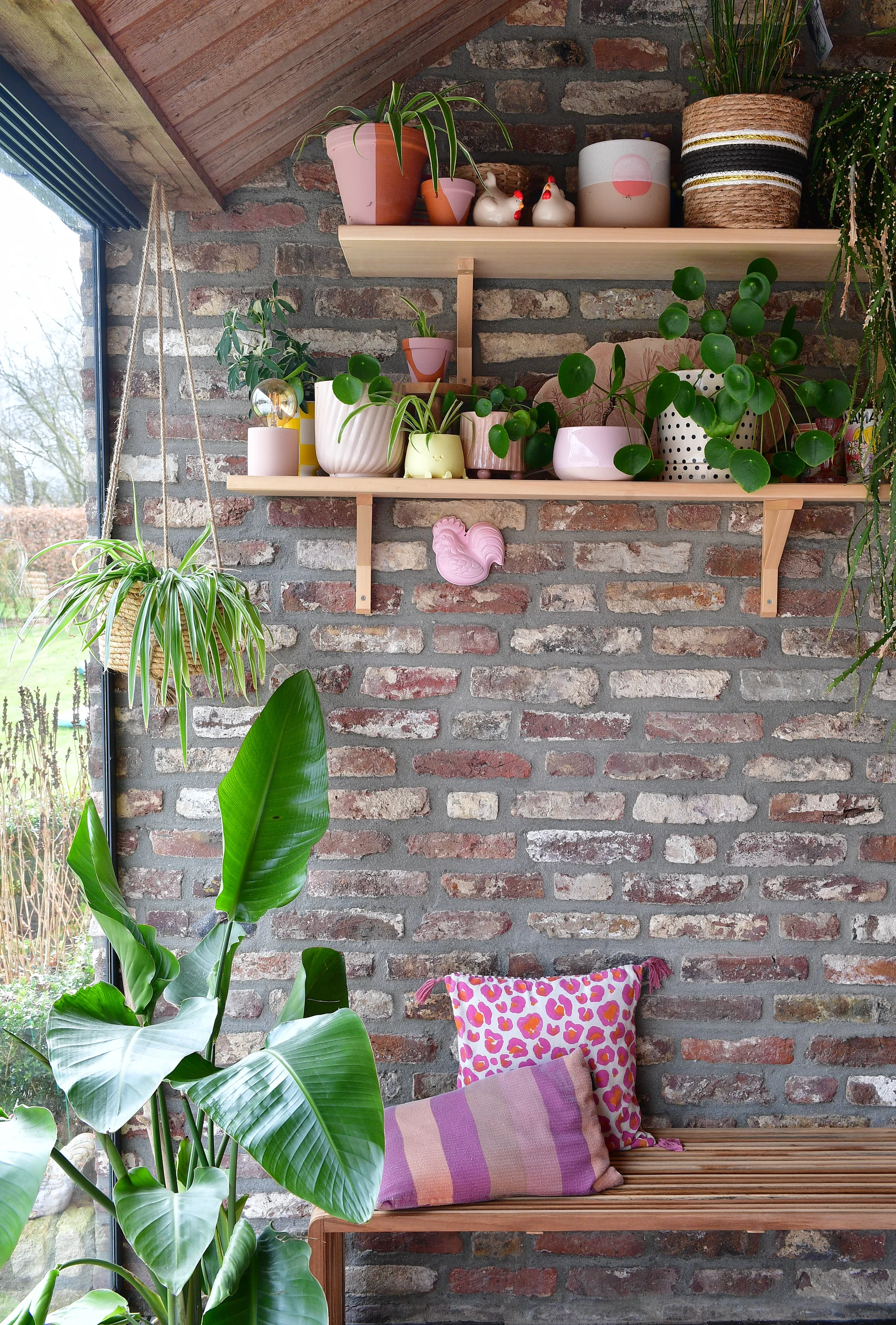 Suzy's roze boerderij · 2024